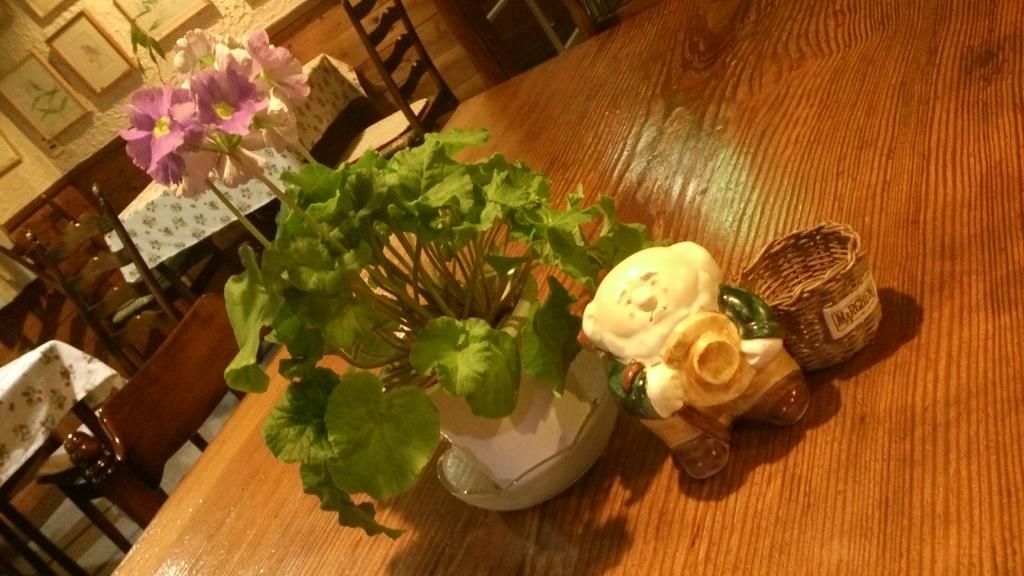 Gallery&Lodge Noichigo Hakuba Extérieur photo