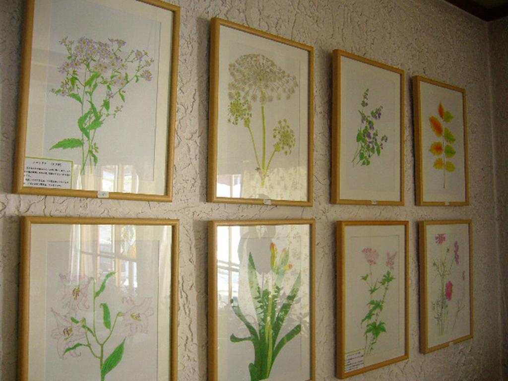 Gallery&Lodge Noichigo Hakuba Extérieur photo